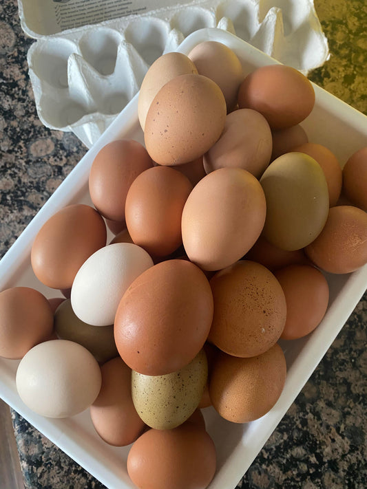 Pasture Raised Eggs - Duck & Chicken image 2