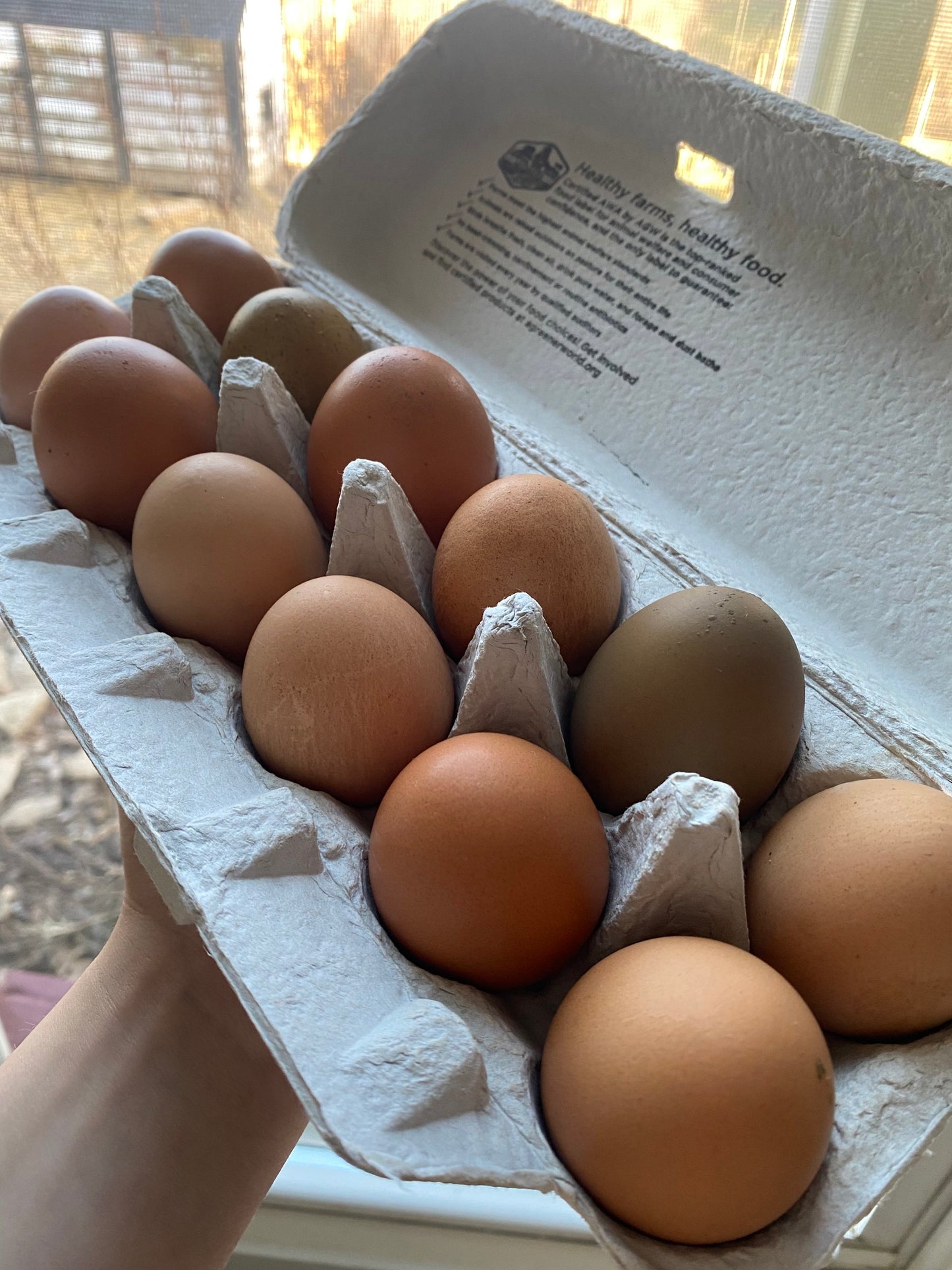 Pasture Raised Eggs - Duck & Chicken image 10