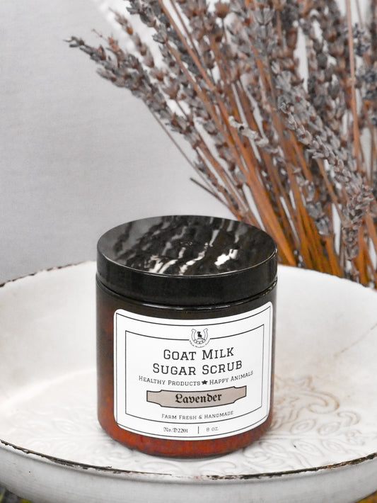 Lavender Goat Milk Sugar Scrub image 0