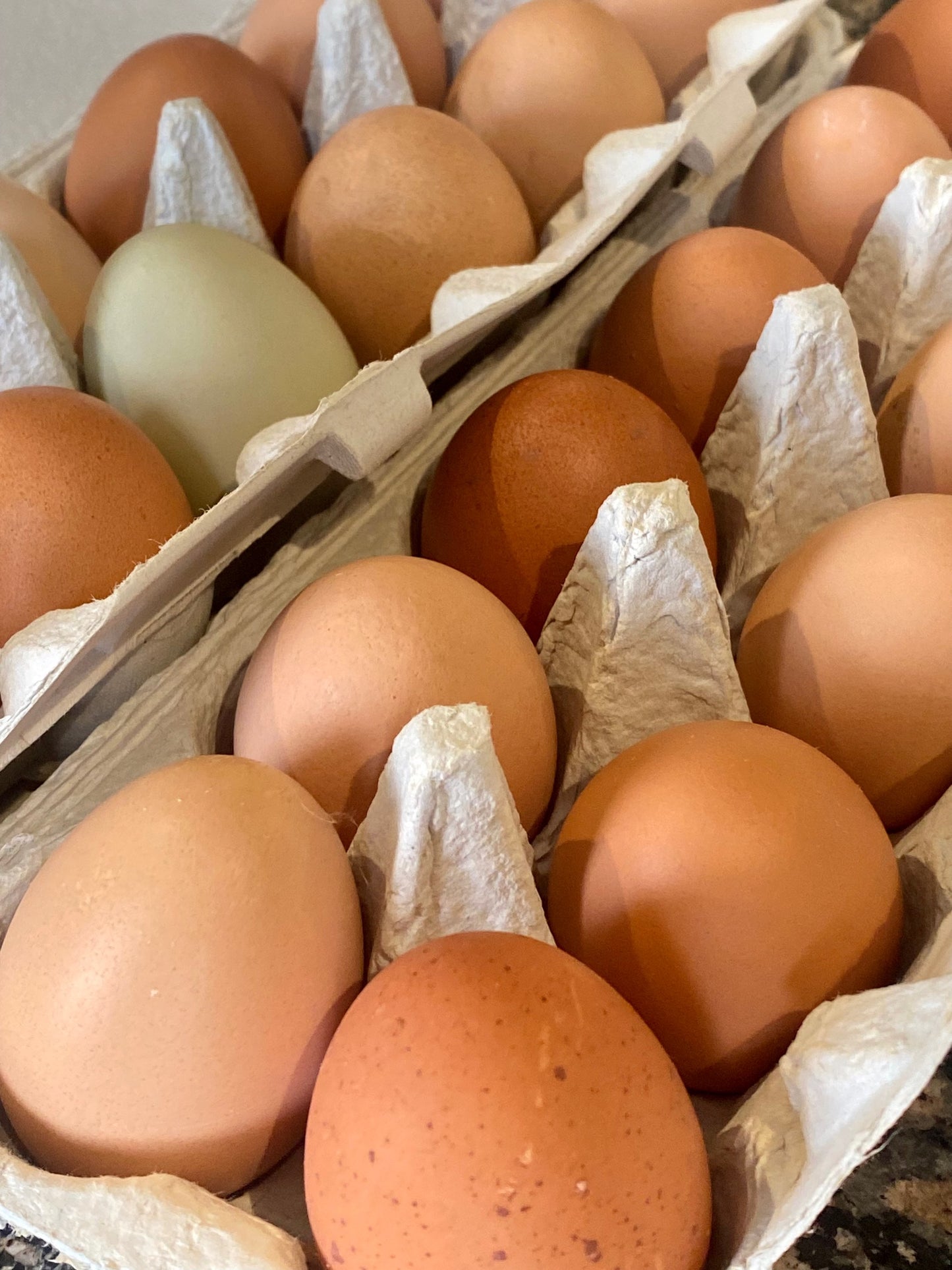 Pasture Raised Eggs - Duck & Chicken image 6