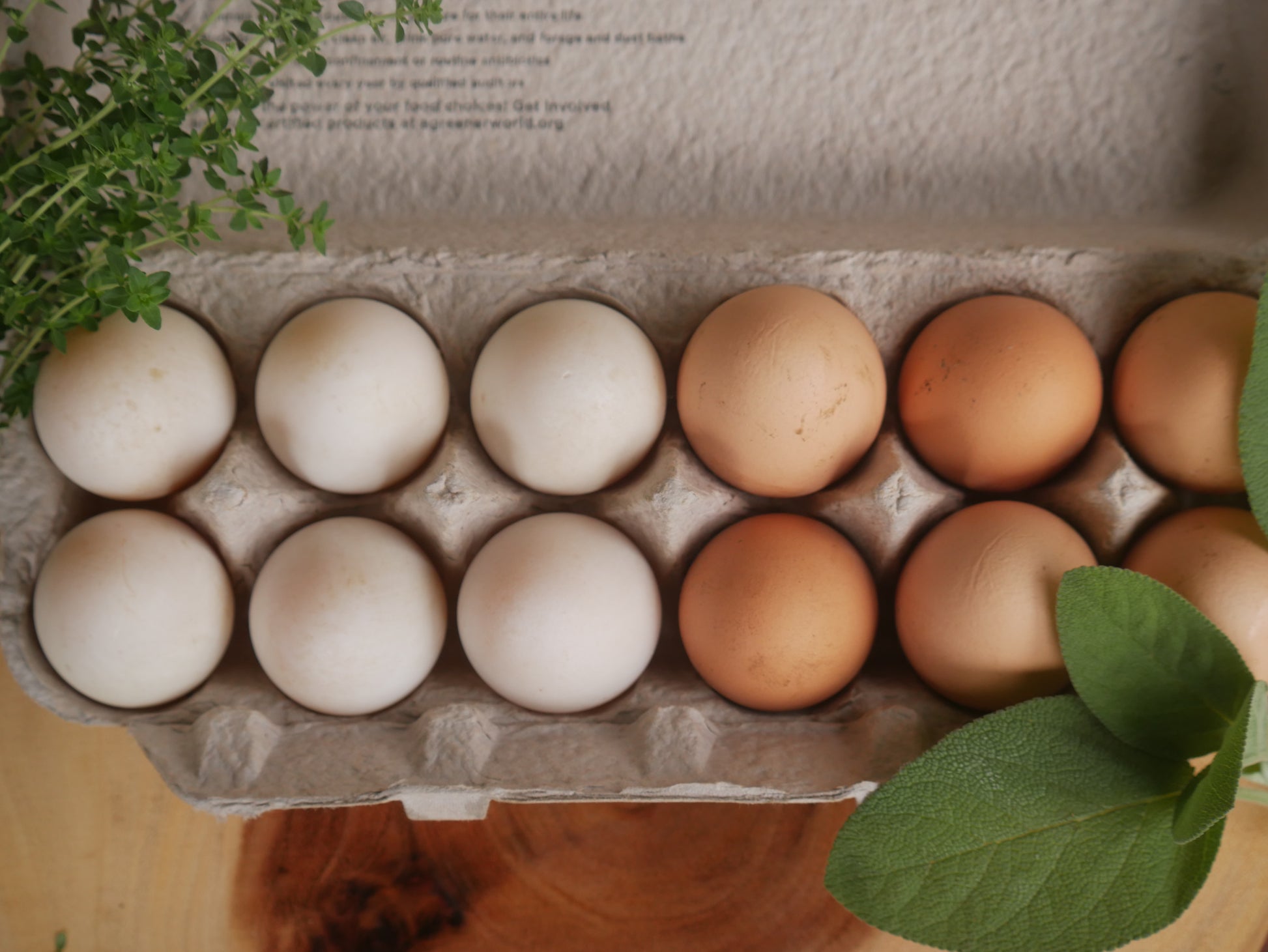 Pasture Raised Eggs - Duck & Chicken image 4