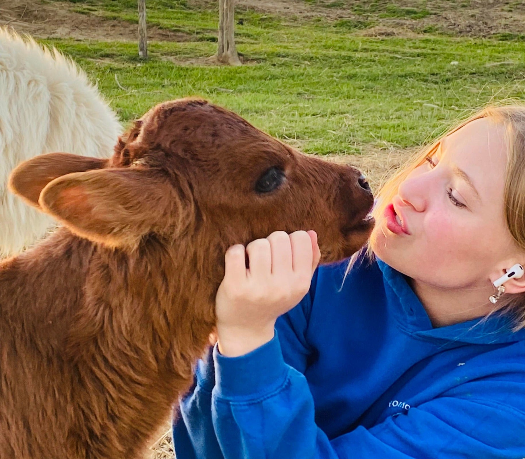 Baby-Gram Sessions - Sunday May 21. image 1