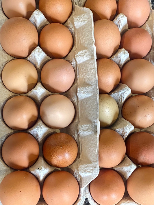 Pasture Raised Eggs - Duck & Chicken image 0